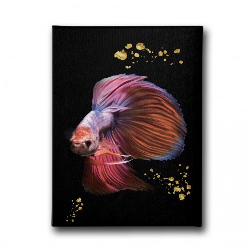 Modern Balık Canvas Tablo